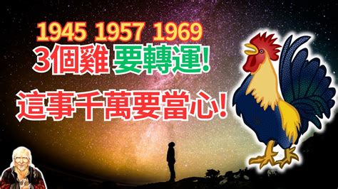 1969生肖配對|【1969生肖配對】1969年生肖配對：屬雞人後半生姻緣大解析！